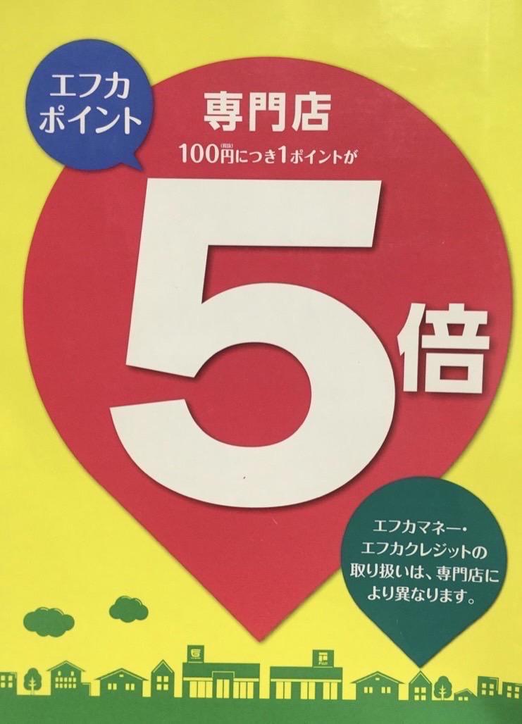 エフカポイント5倍デー、ノベルティキャンペーン！